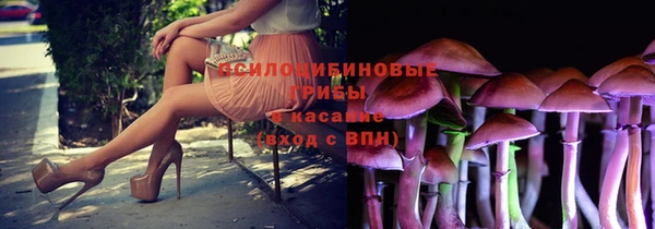 МДПВ Абаза