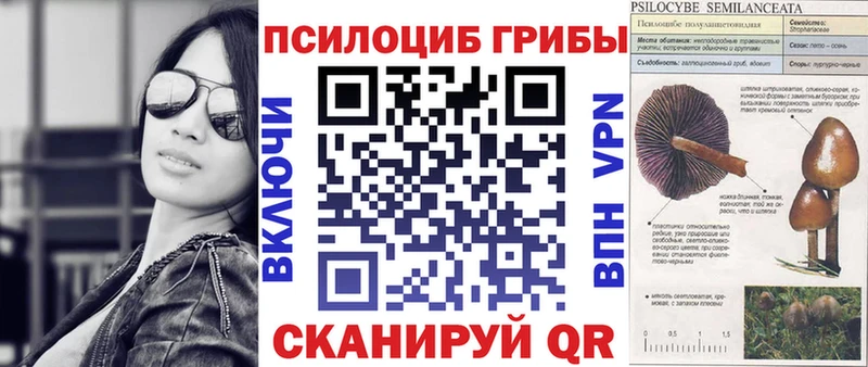 Галлюциногенные грибы GOLDEN TEACHER  как найти закладки  Кимовск 